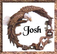 eaglejosh.jpg